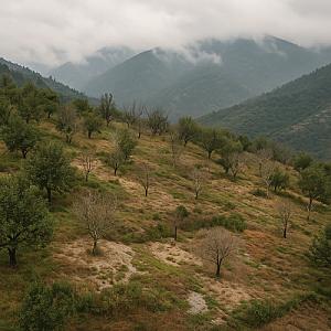 Why the Himalayan Apple Belt Is Struggling — and Why Traditional Orchard Systems Are Failing Us